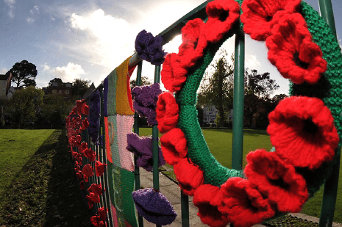 Dawlish Poppy Wall Set Up By Team Of Volunteers Dawlish today co uk Dawlish Poppy Wall Set Up By Team Of Volunteers Dawlish today co uk